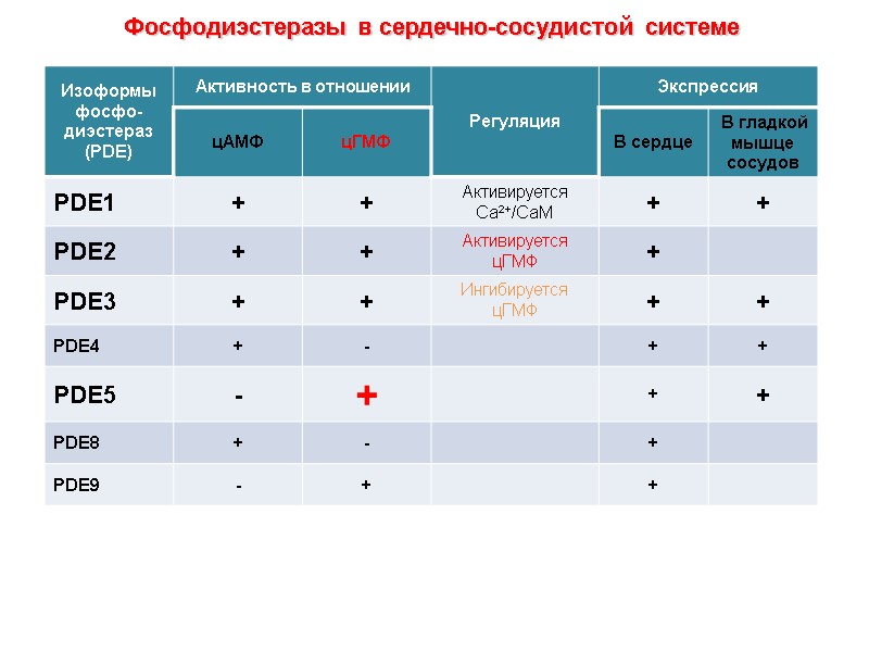 Фосфодиэстеразы в сердечно-сосудистой системе